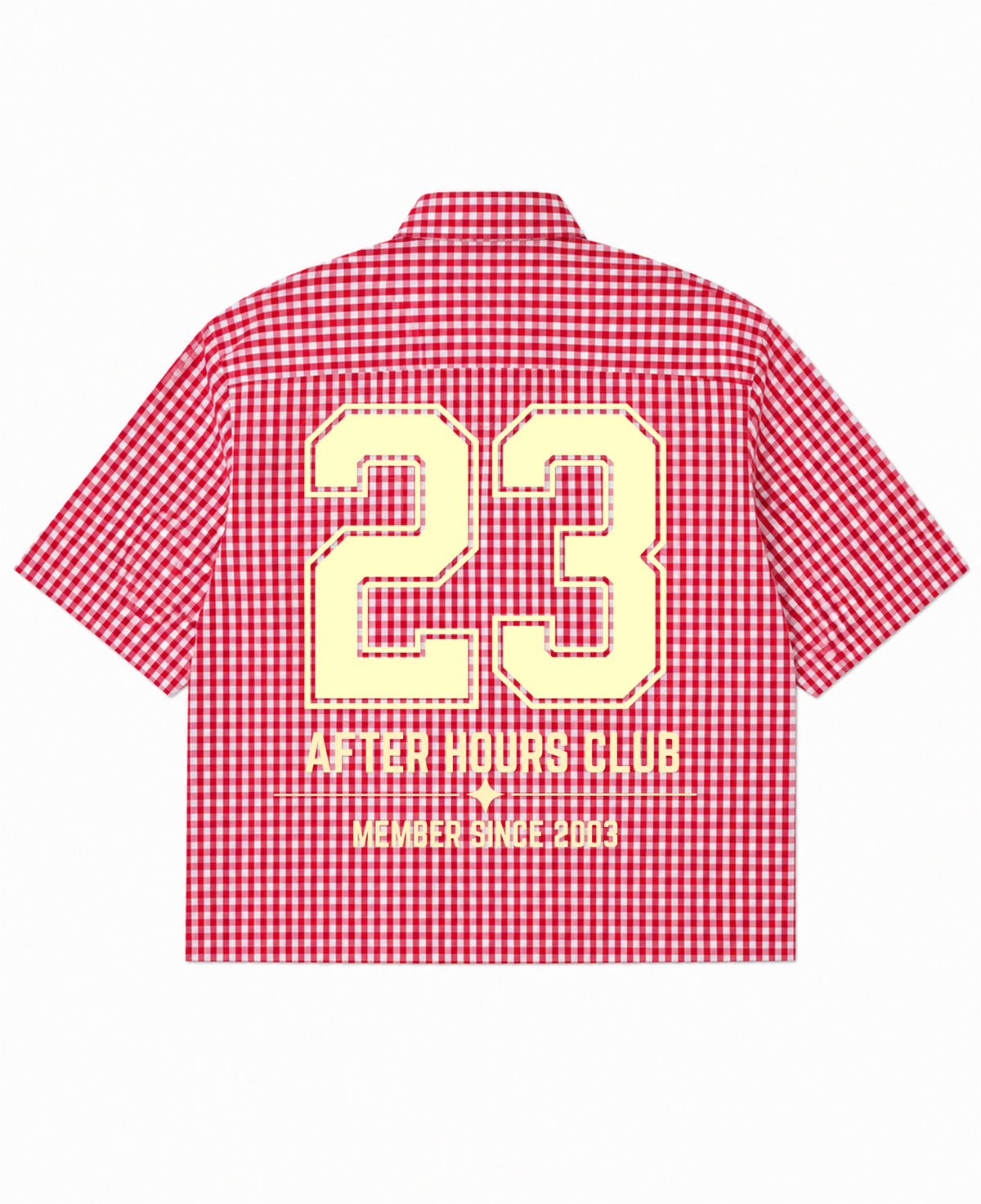 Red Picnic Oxford Boxy Shirt Back Design
